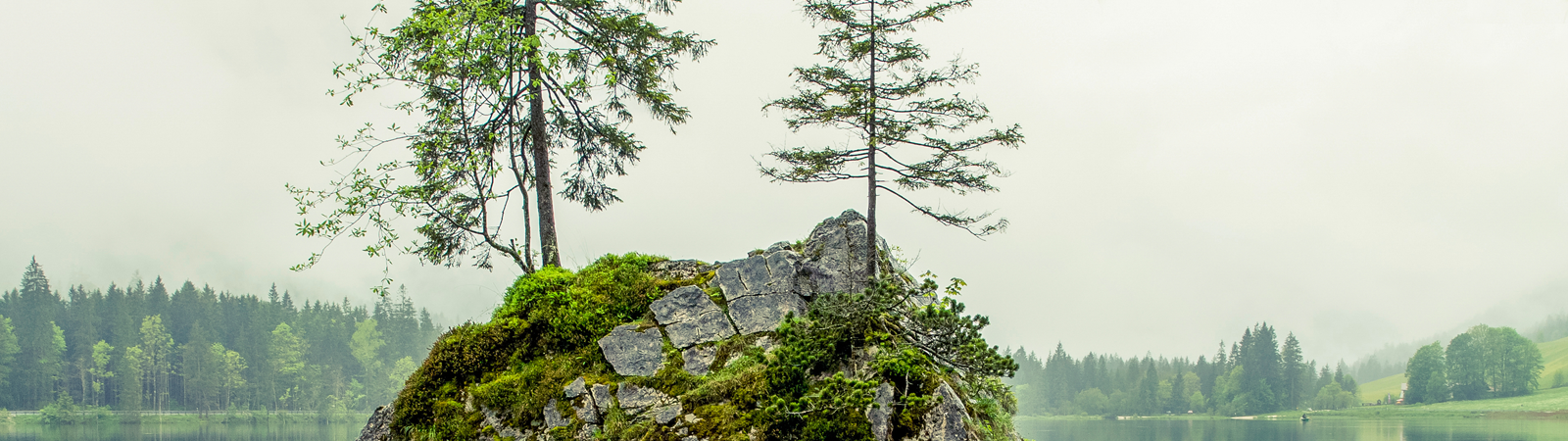 Karriere Headerimage